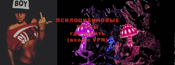 герыч Алексин